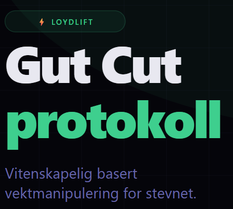 Skjermbilde 2026-03-30 122515 2