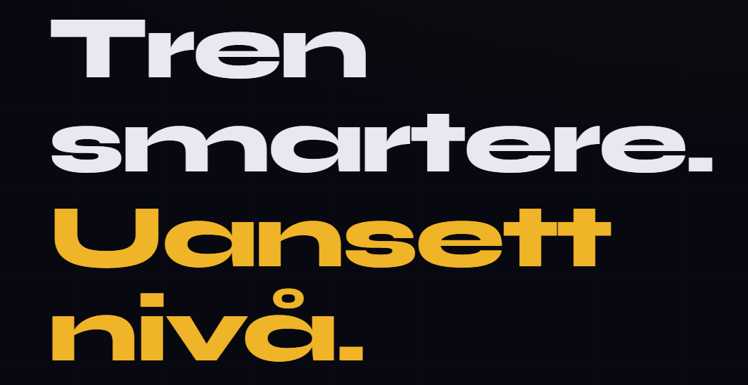 Skjermbilde 2026-03-30 123058