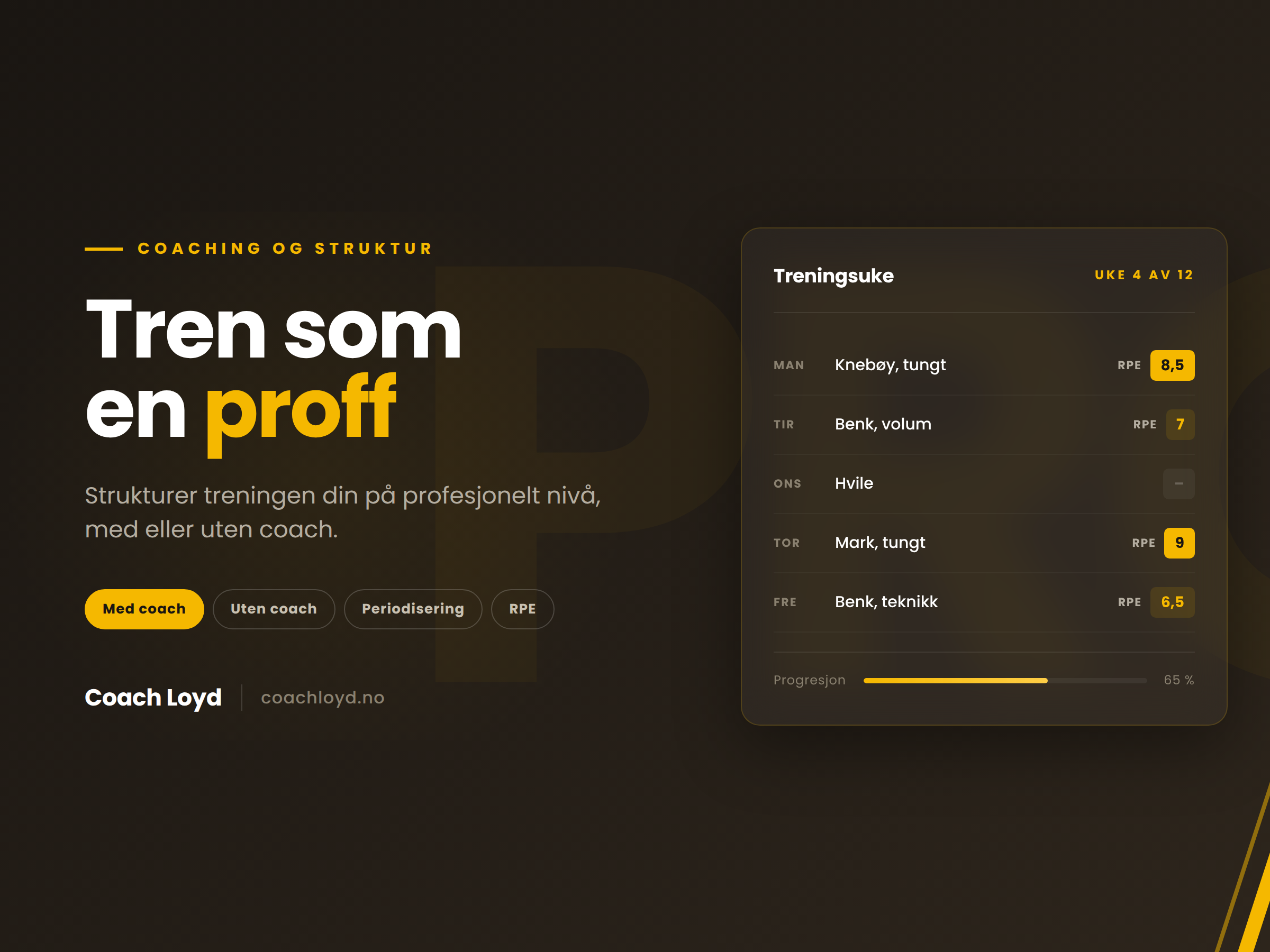 proff_thumbnail (1)