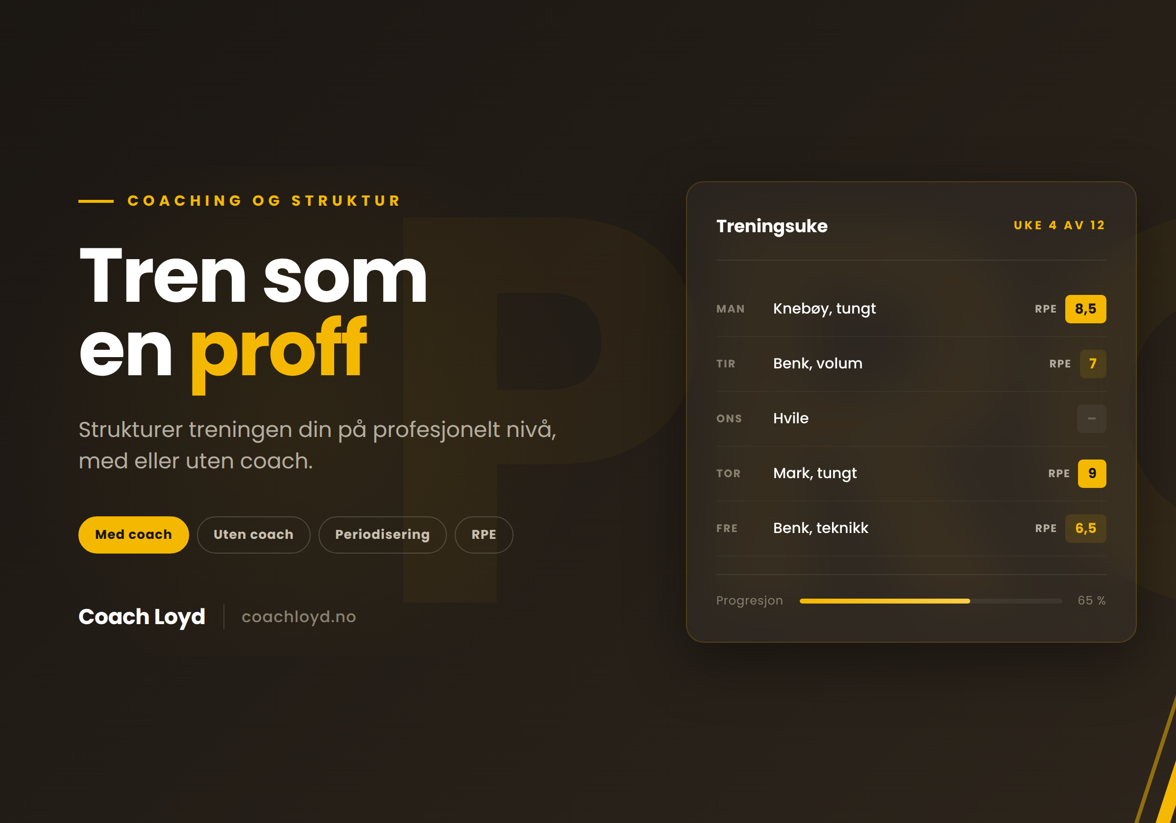 proff_thumbnail (1)